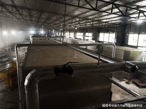 腐竹厂蒸汽利用诊断与节能改造案例解析
